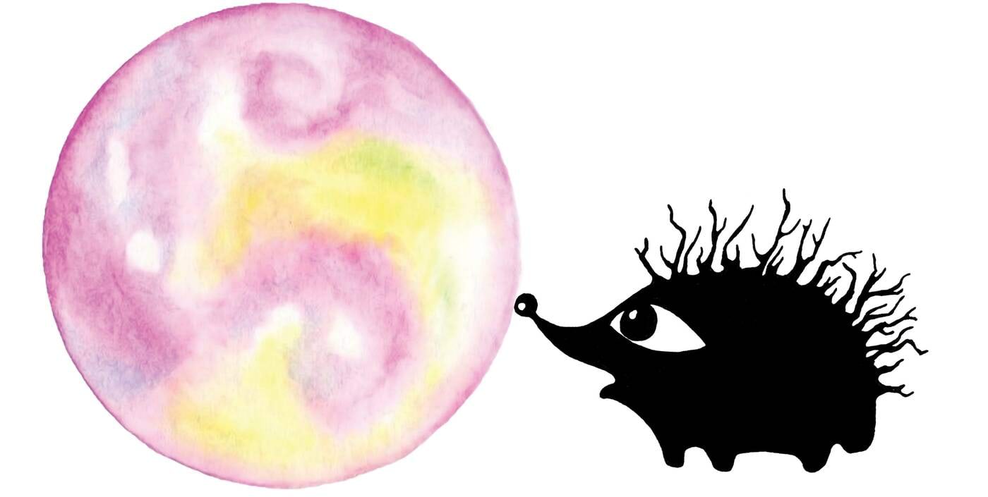 Siil uurib seebimulli<br>