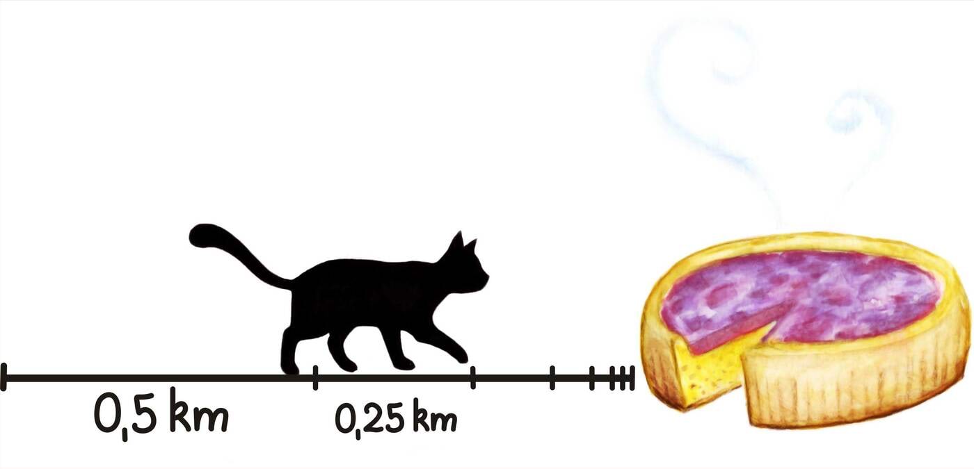 Kass, pirukas ja geomeetriline jada<br>