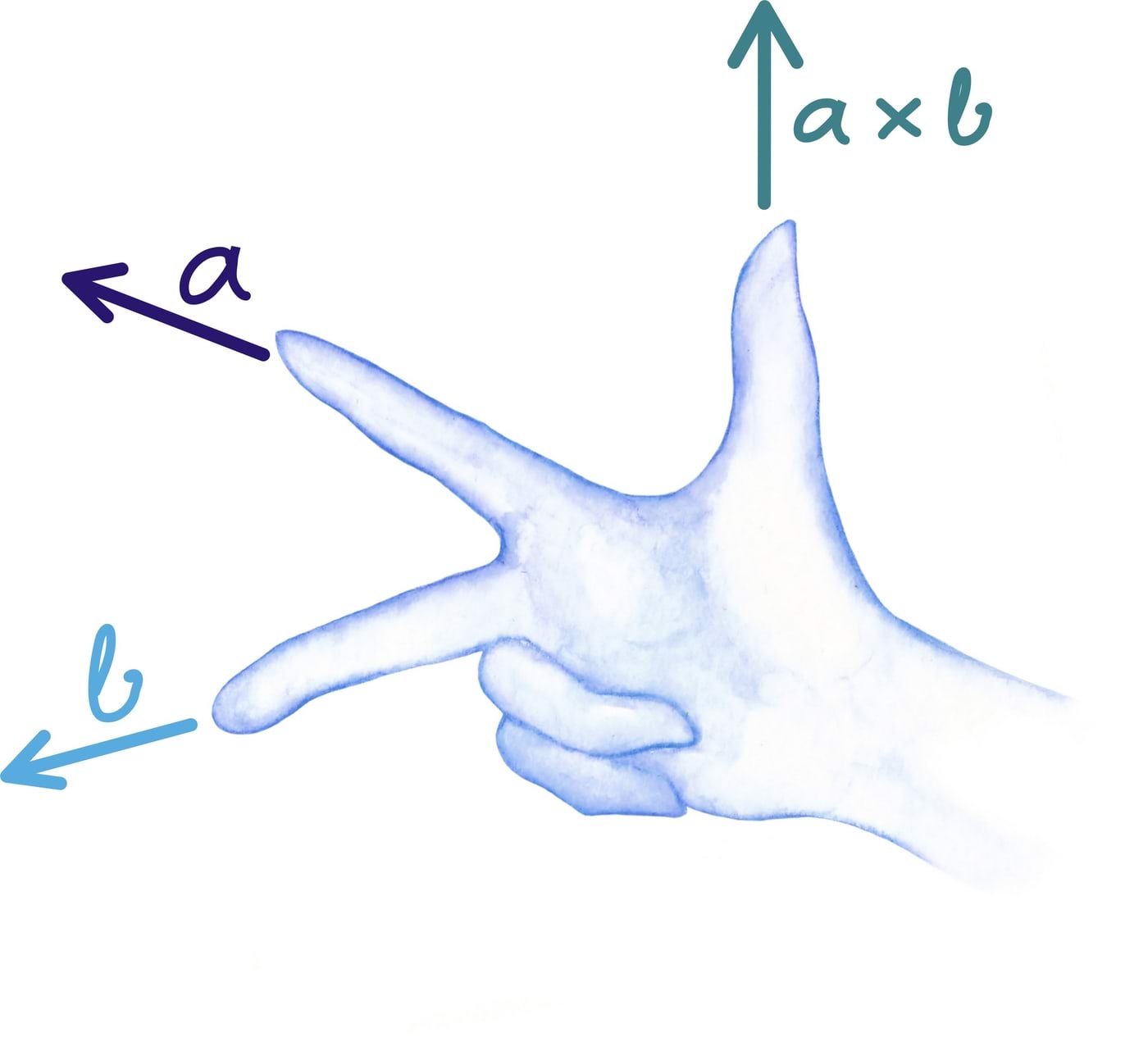 Vektrokorrutis ja parema käe reegel