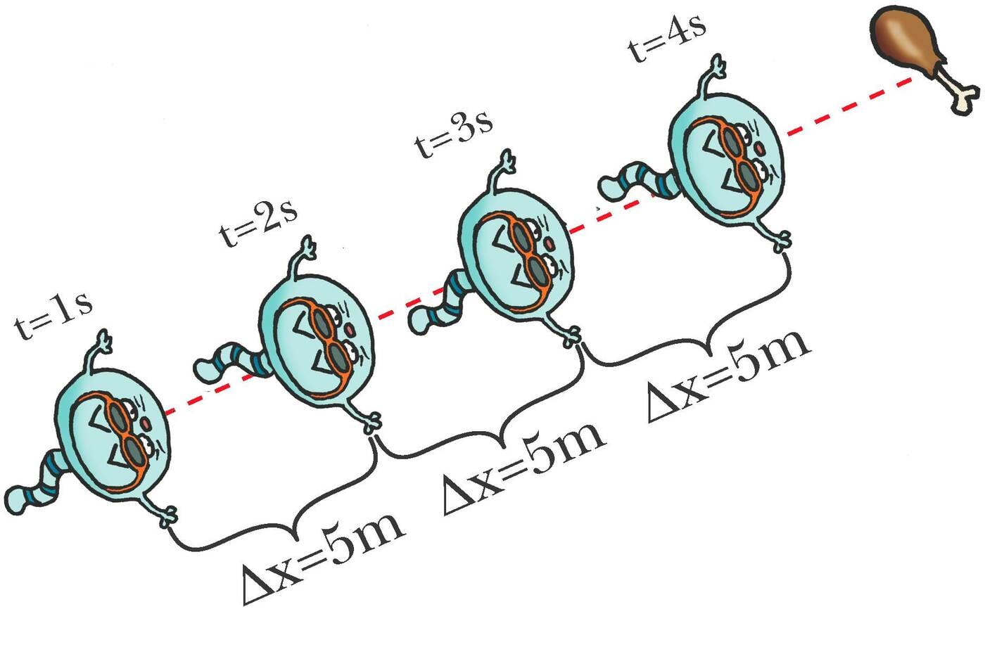 Ühtlane sirgjooneline liikumine - võrdsed ajavahemikud