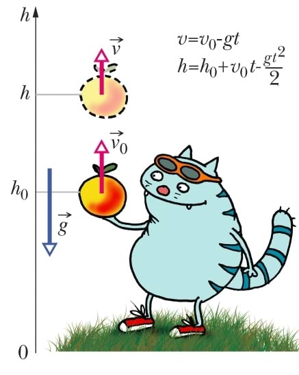 Ülesvisatud keha kiiruse ja kõrguse sõltuvus ajast