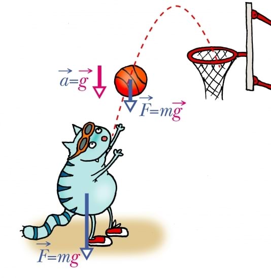 Raskusjõud mõjub nii pallimängijale kui pallile