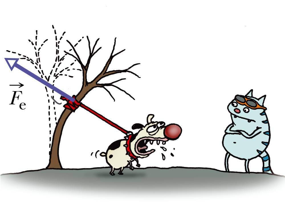 Elastsusjõud on deformatsiooniga vastassuunaline