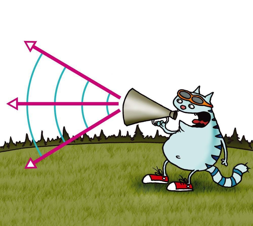 Kass kasutab ruuporit