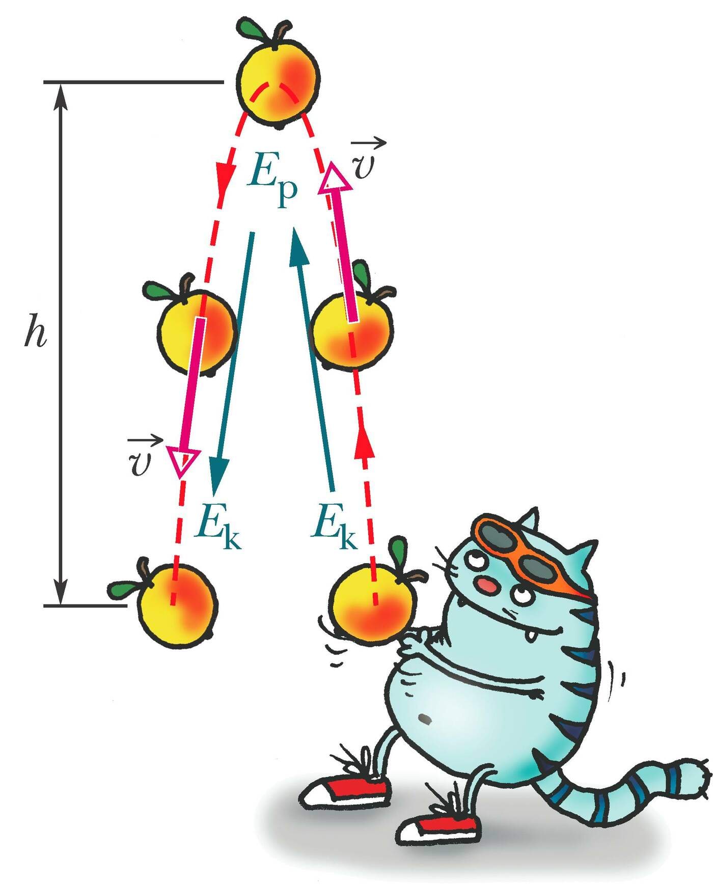 Energia muundub ühest liigist teise