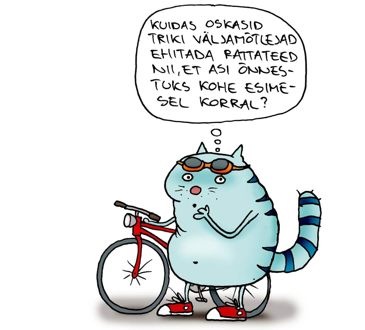 Kass küsib rattatrikkide kohta