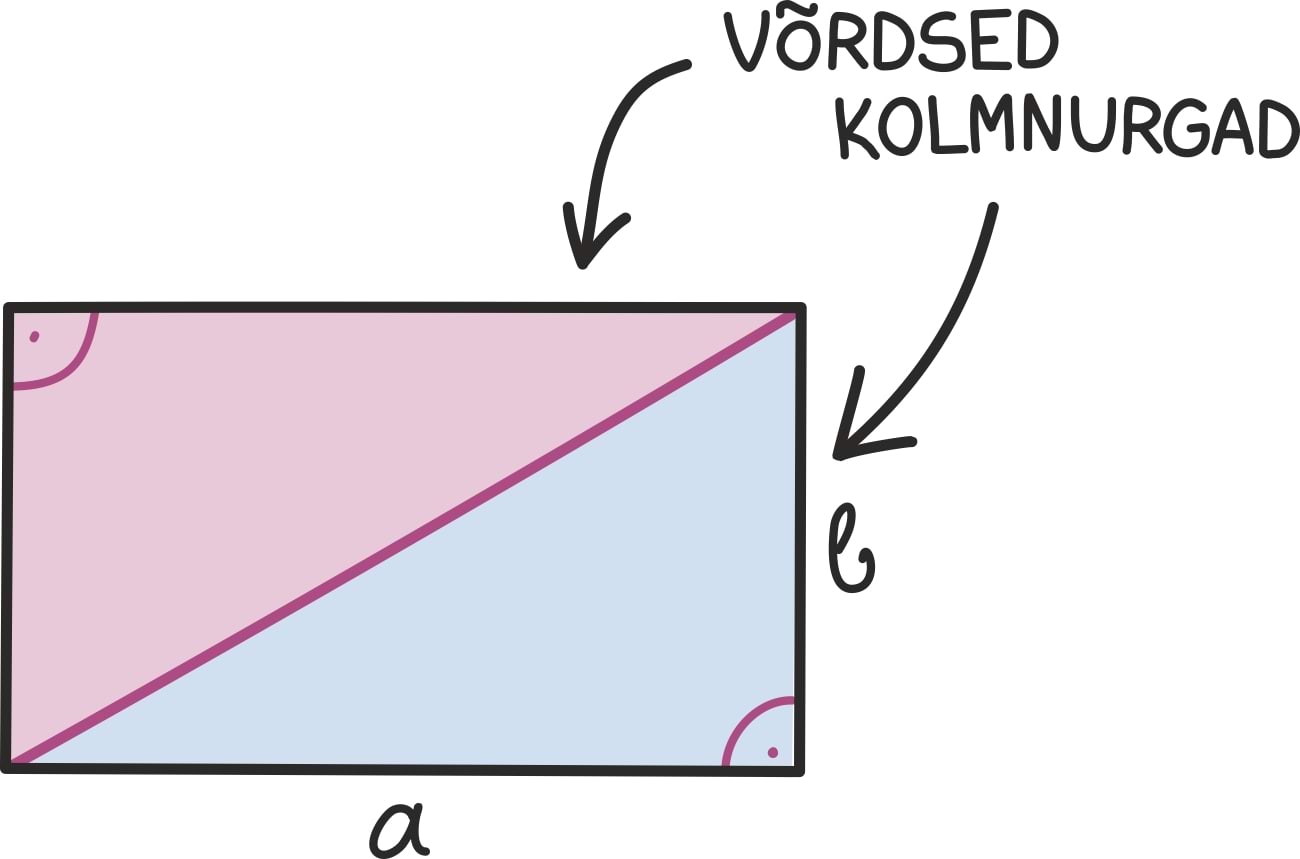 kolmnurk ja ristkülik