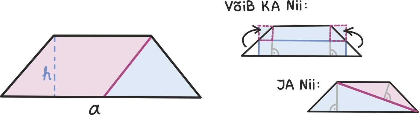 Rööpkülik ja tarpets2