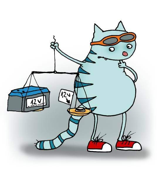 Kass kaalub erinevaid akusid