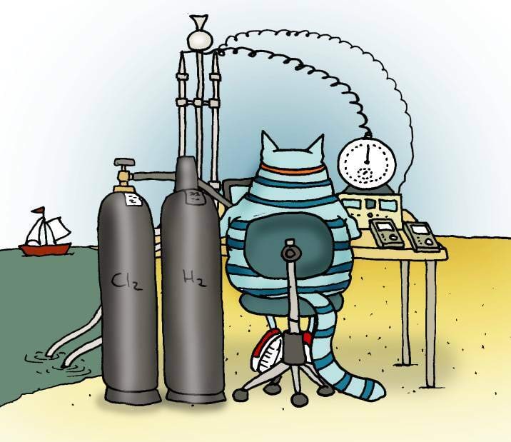 Kass ja elektrolüüs