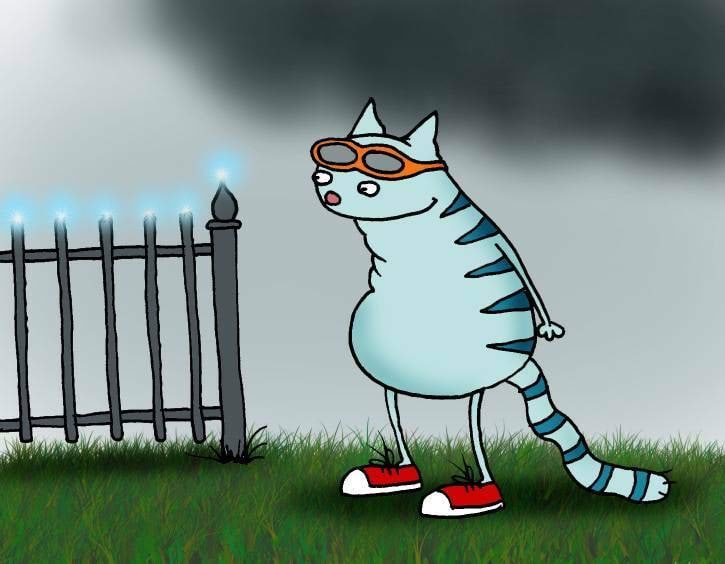 Kass ja püha elmo tuled