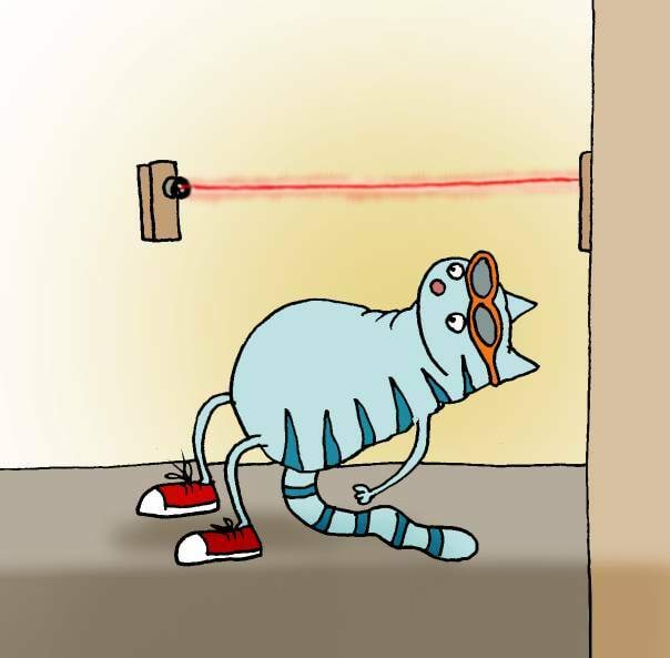 Kass väldib signalisatsiooni laseri kiirt