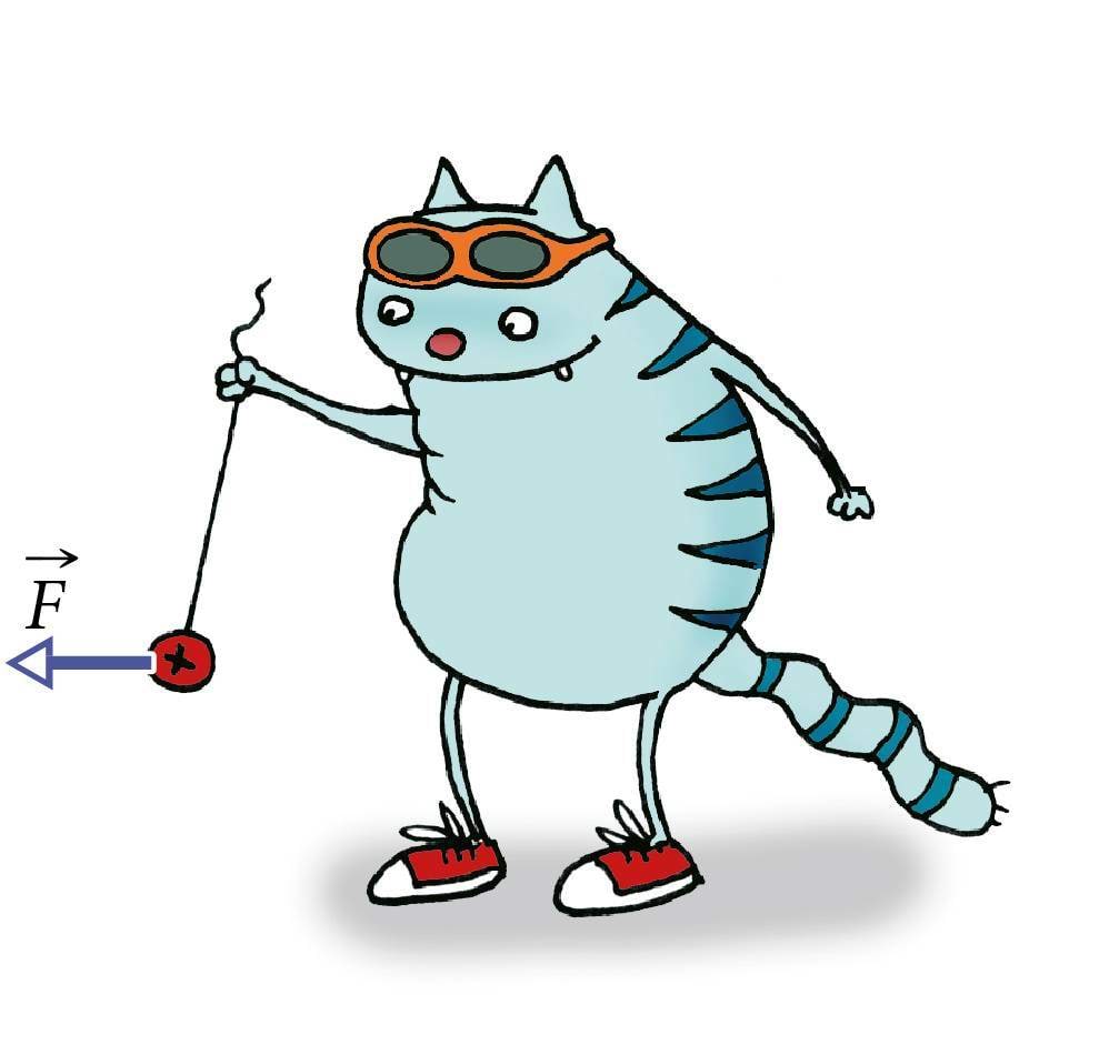 Kass ja elektrivälja jõud