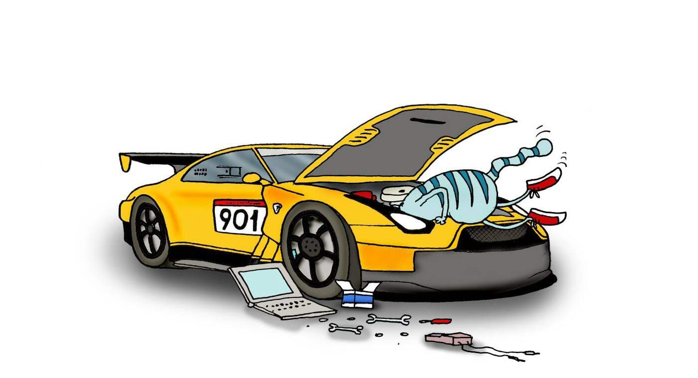 Kass remondib autot, nagu oskab