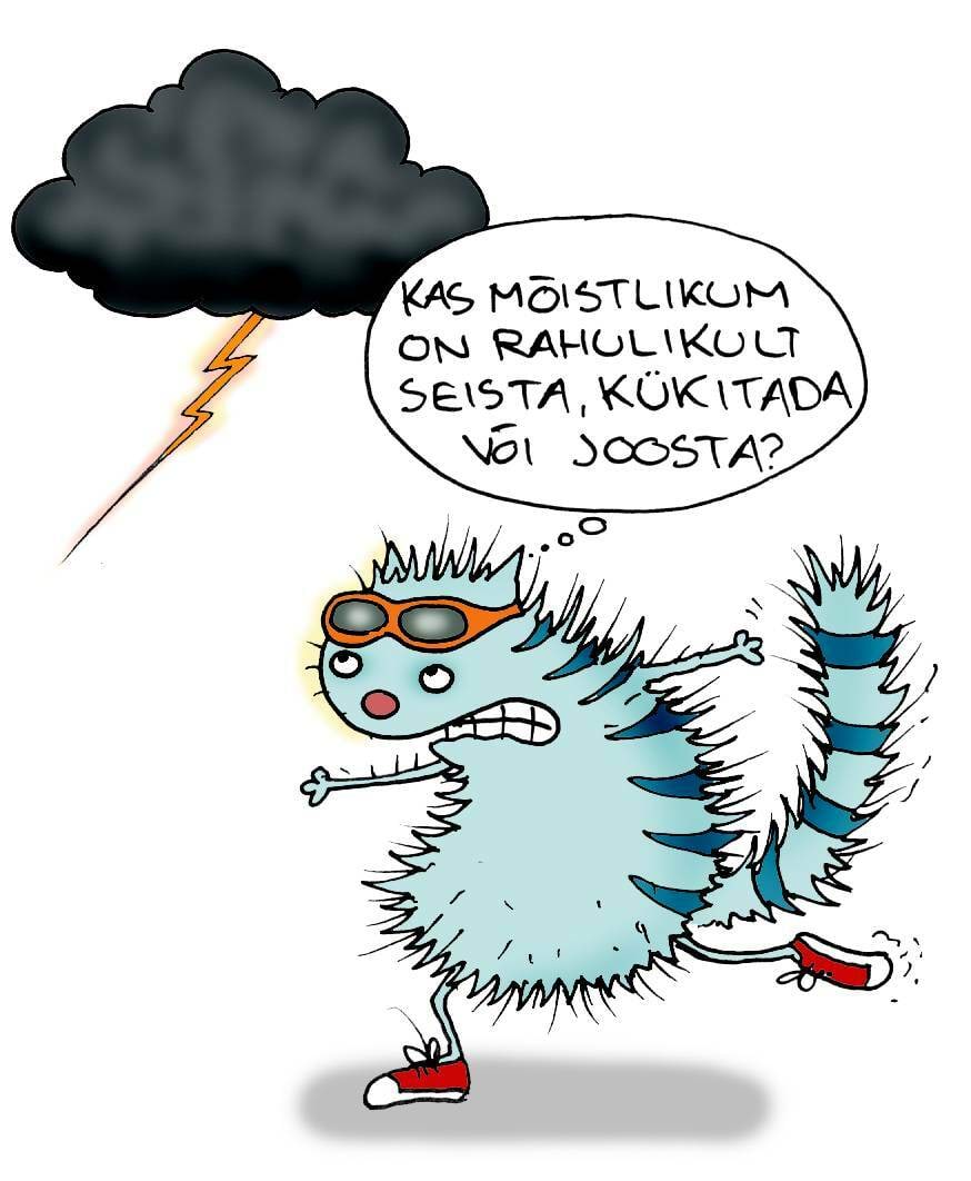 Kass kardab välku