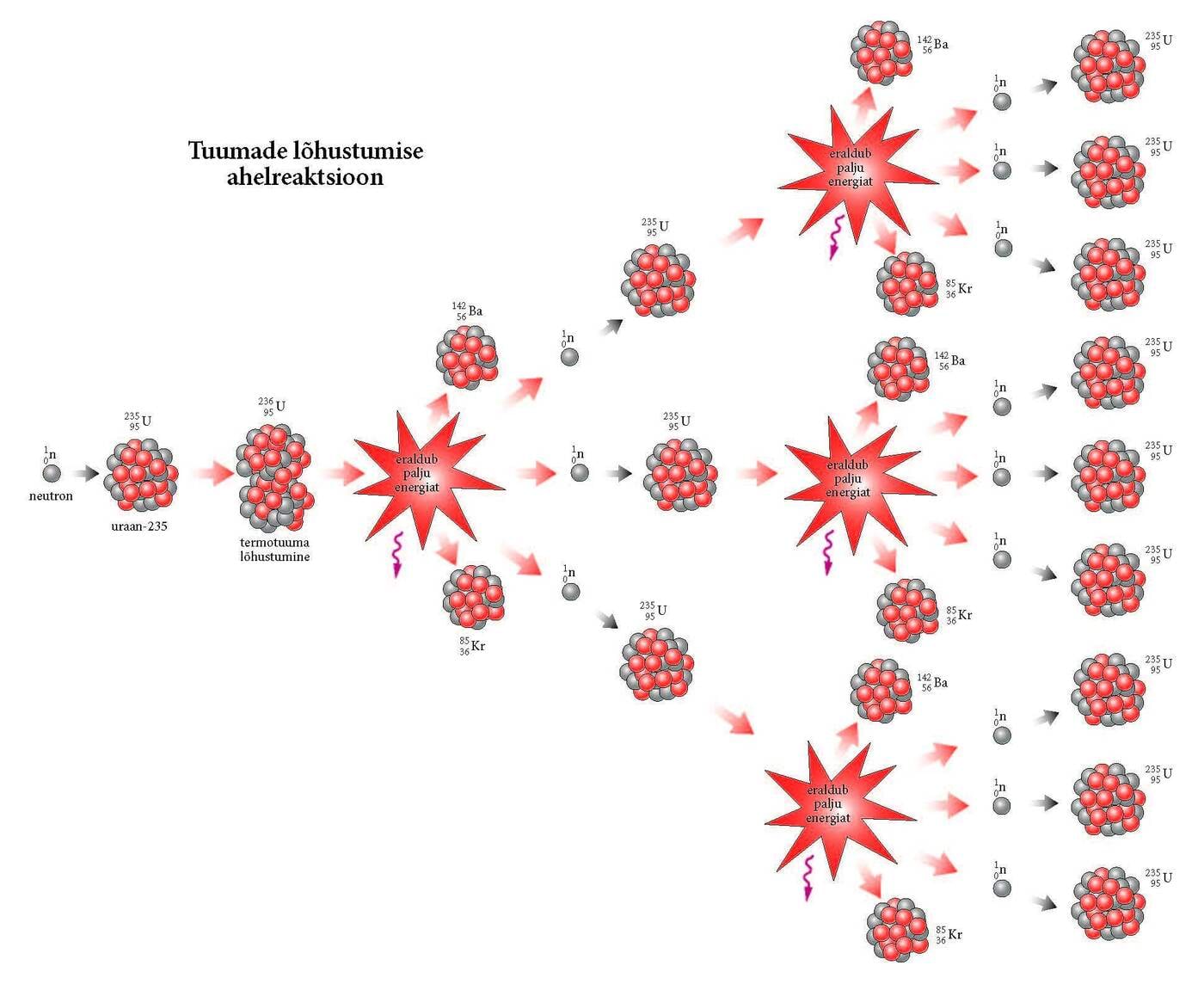 Uraani 235 tuumade lõhustumine ahelreaktsioonis