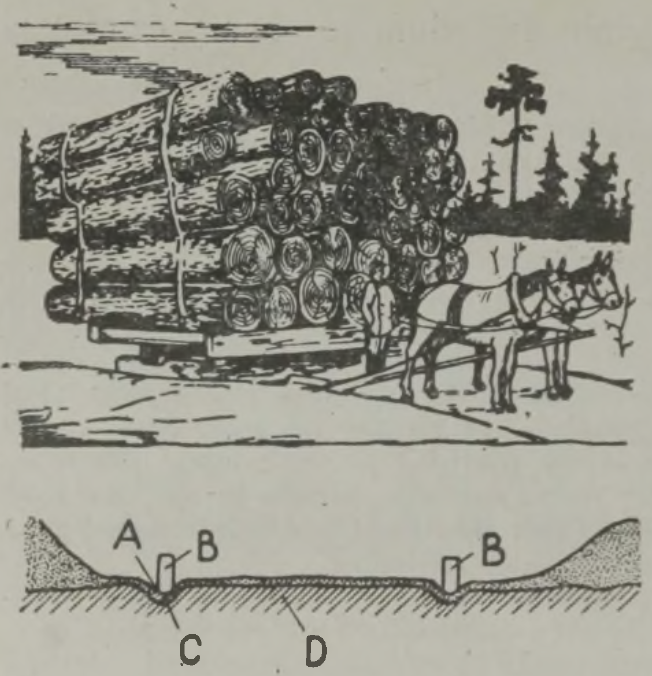 Koormaga regi jääteel