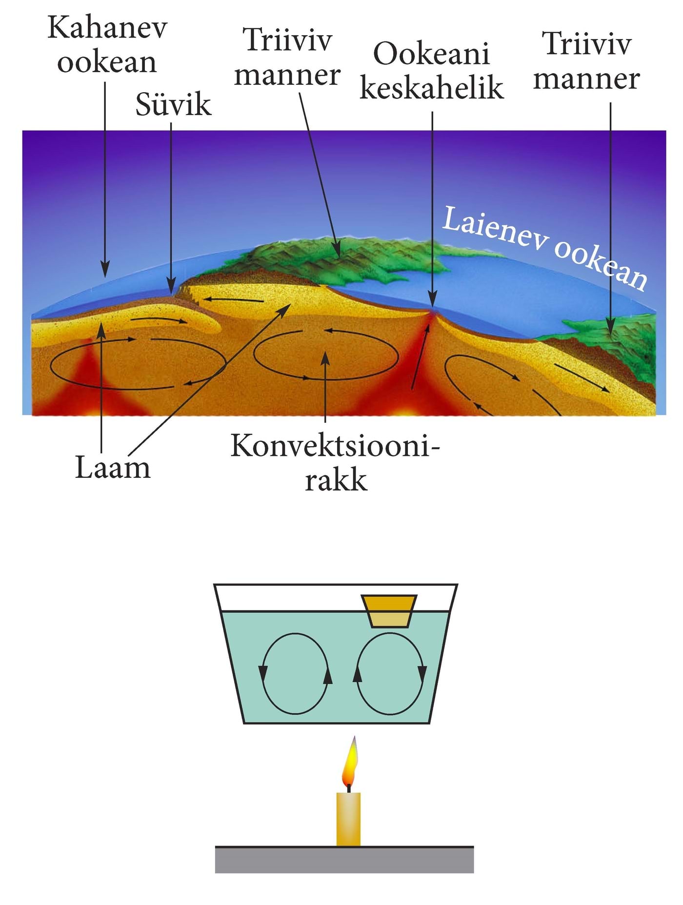 Mandrite triivi lihtsustatud füüsikaline mudel