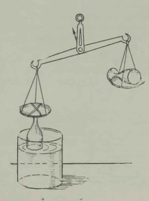 Kumb kaalukauss on raskem?
