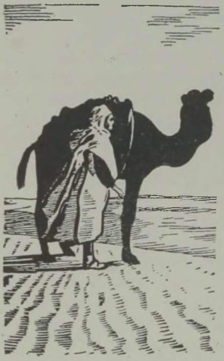 Laineline liivapind kõrbes