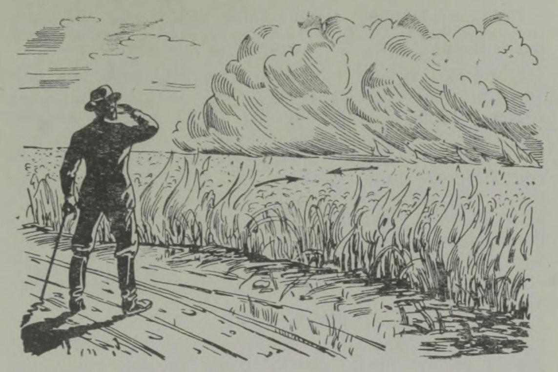 Stepitulekahju kustutamine tulega