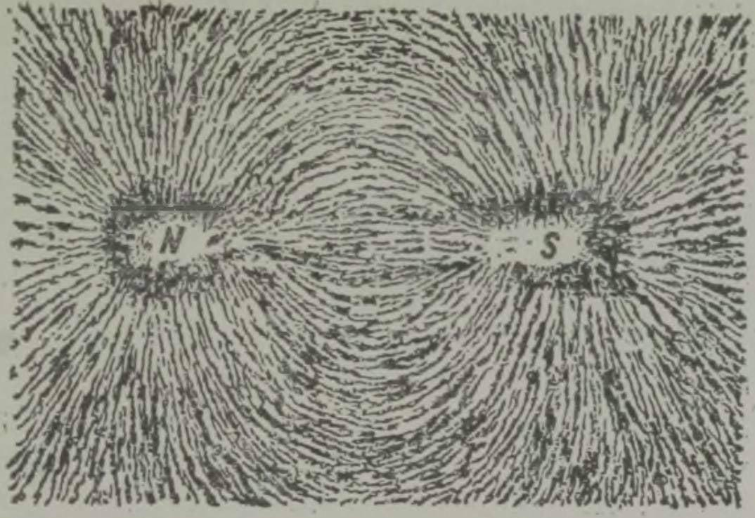 Rauapuru asetus magnetpooluseid katval papitükil