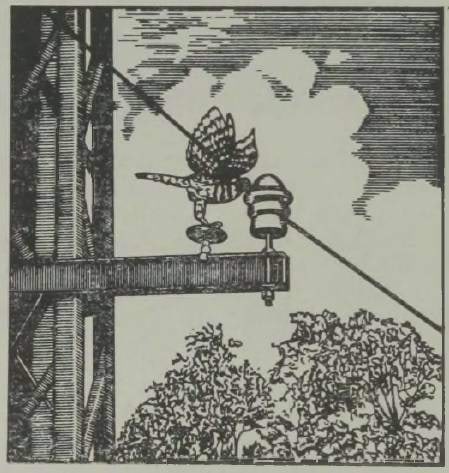 Lindudele määratu isoleeritud õrs kõrgepingeliini toendil.