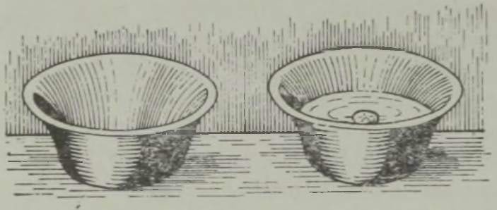 Katse tassis oleva mündiga