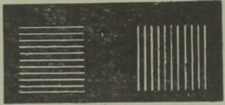 Kumb on laiem - parem- või vasakpoolne kujund?