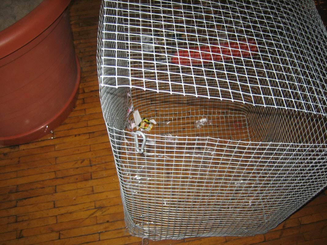 Lämmastikupudeli killud traadist kastis. Ära nii tee!