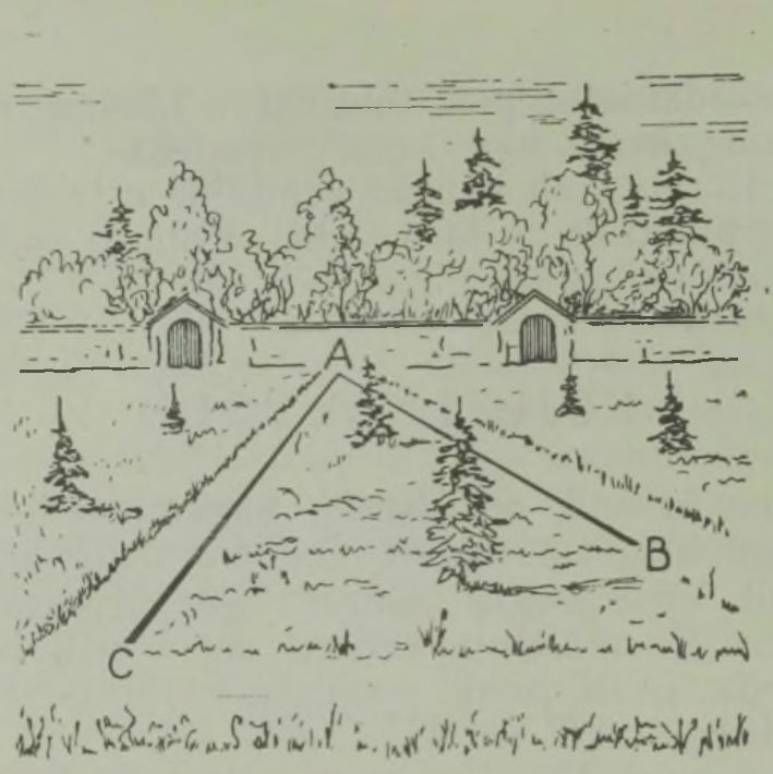 Kumb on pikem - AB või AC?