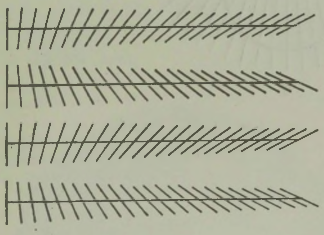 Paralleelsed sirged ei näi paralleelsetena