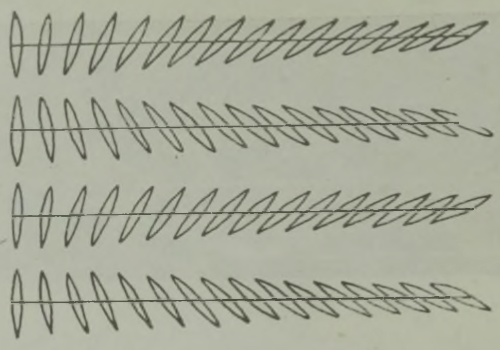 Paralleelsed sirged ei näi paralleelsetena