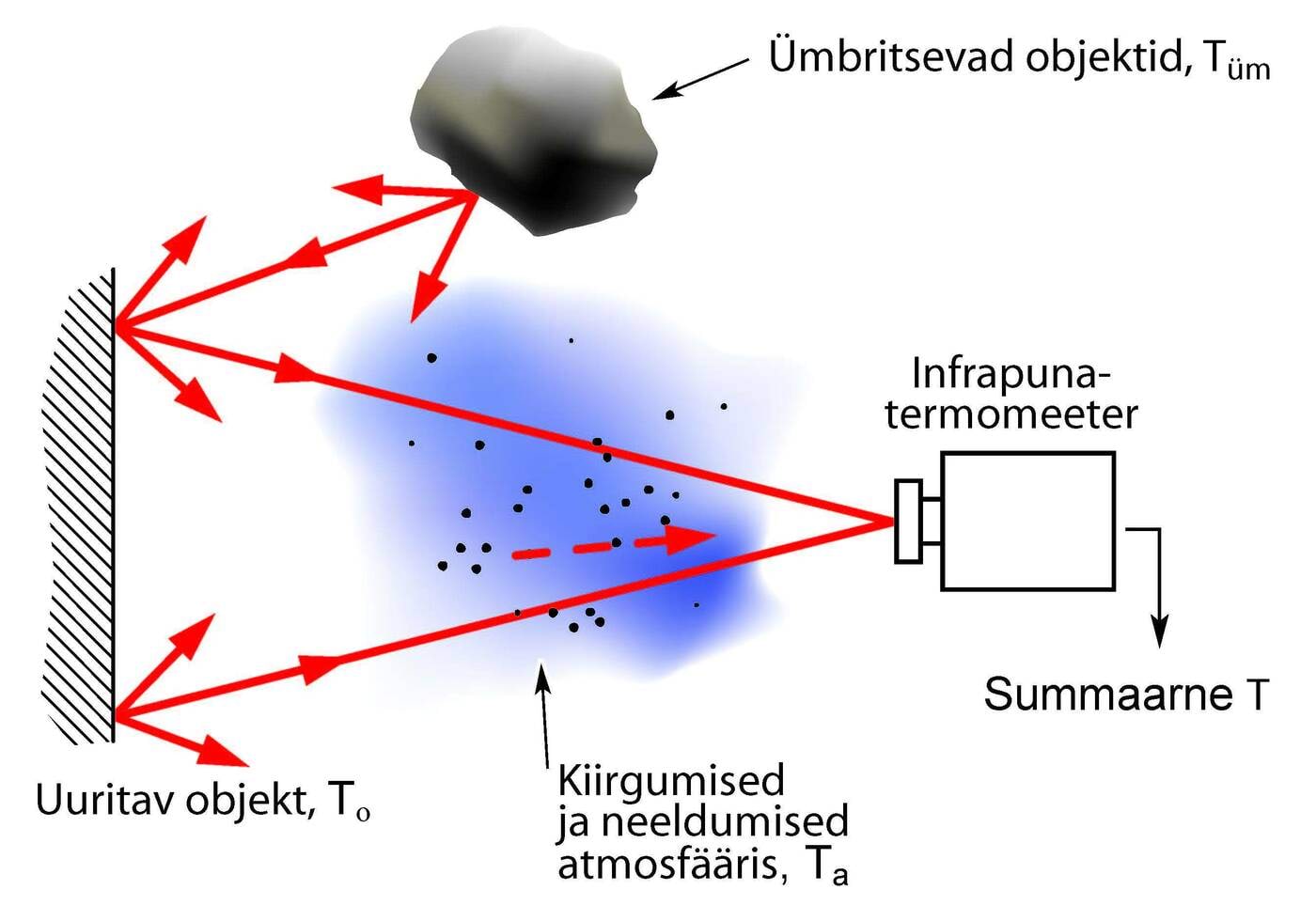 What does an infrared thermometer measure?