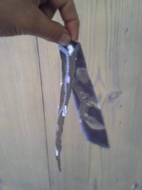 Elektriseeritud kile ribad tõukuvad<br>