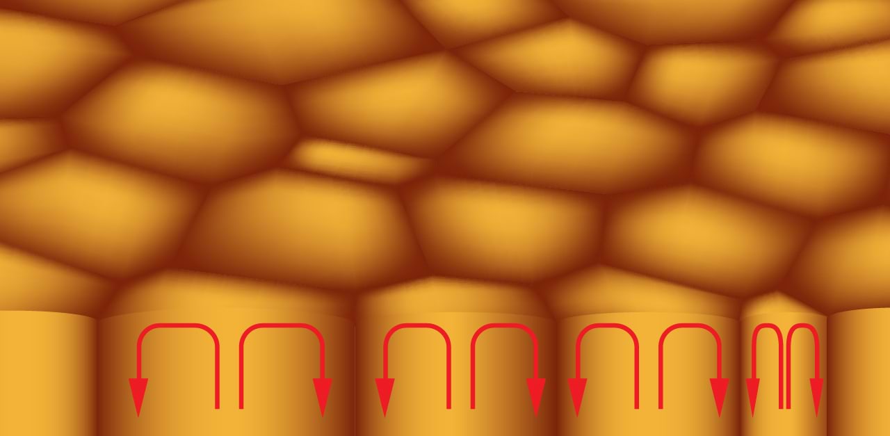 Päikese aine fotosfääri ulatuv konvektsioon ja konvektsioonirakud