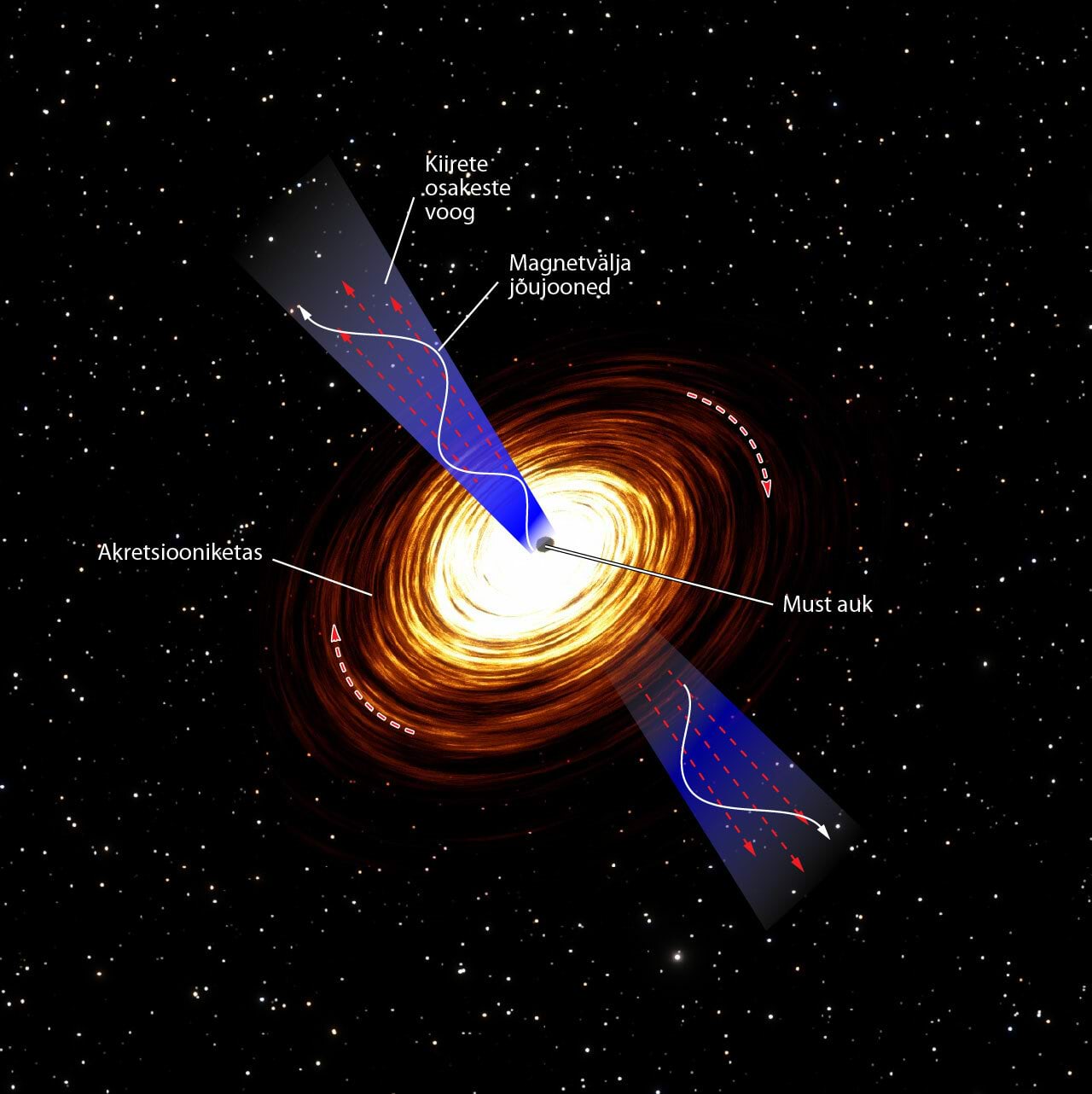 Aktiivsete galaktikate ja kvasarite akreatsiooniketas