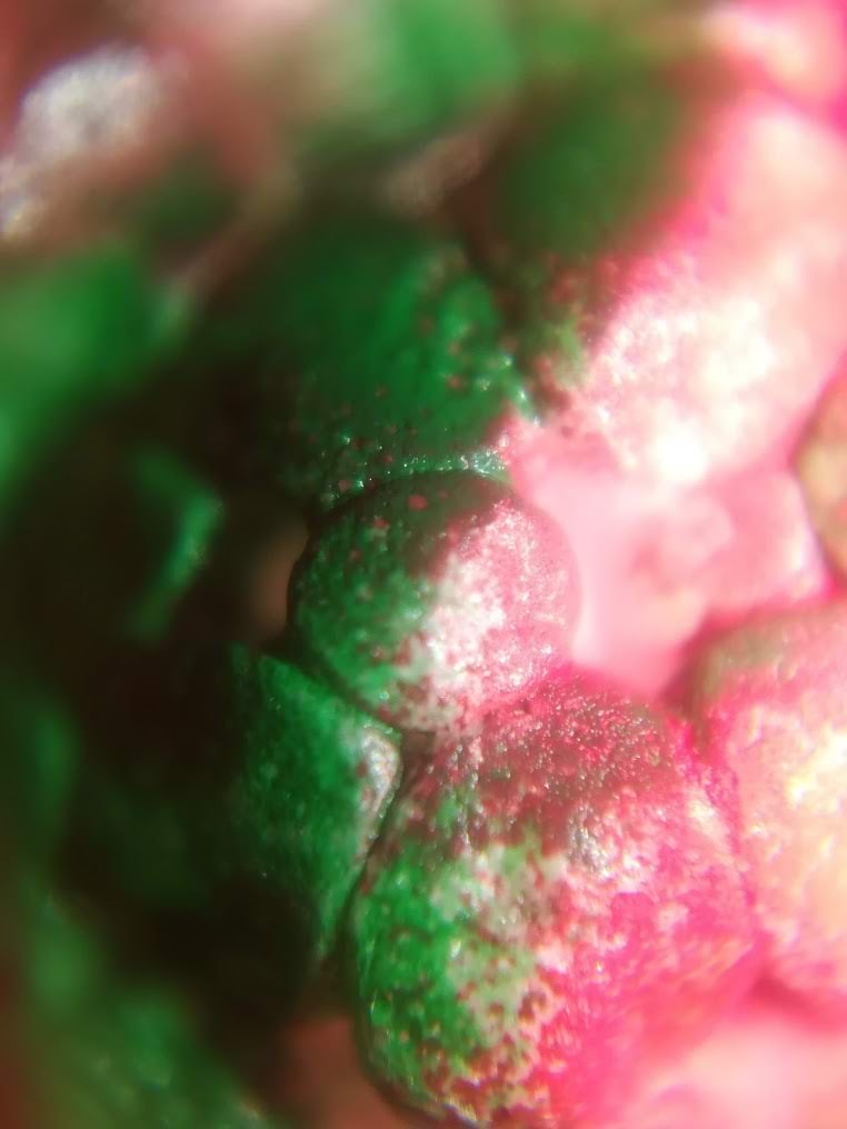 Mobiilimikroskoobis 6