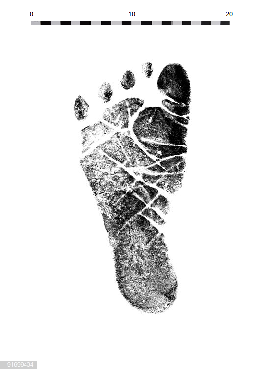 Mõõtkavaga jalajälg