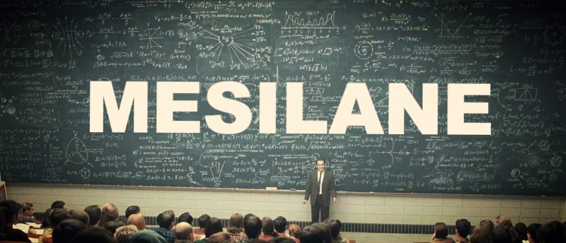 Mesilane 1 kaanepilt