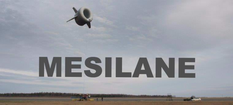 Mesilane nr 2, kaanepilt