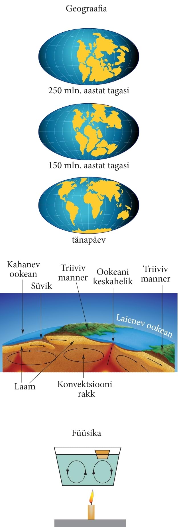 Mandrite triiv ja konvektsioonvoolud, joonis