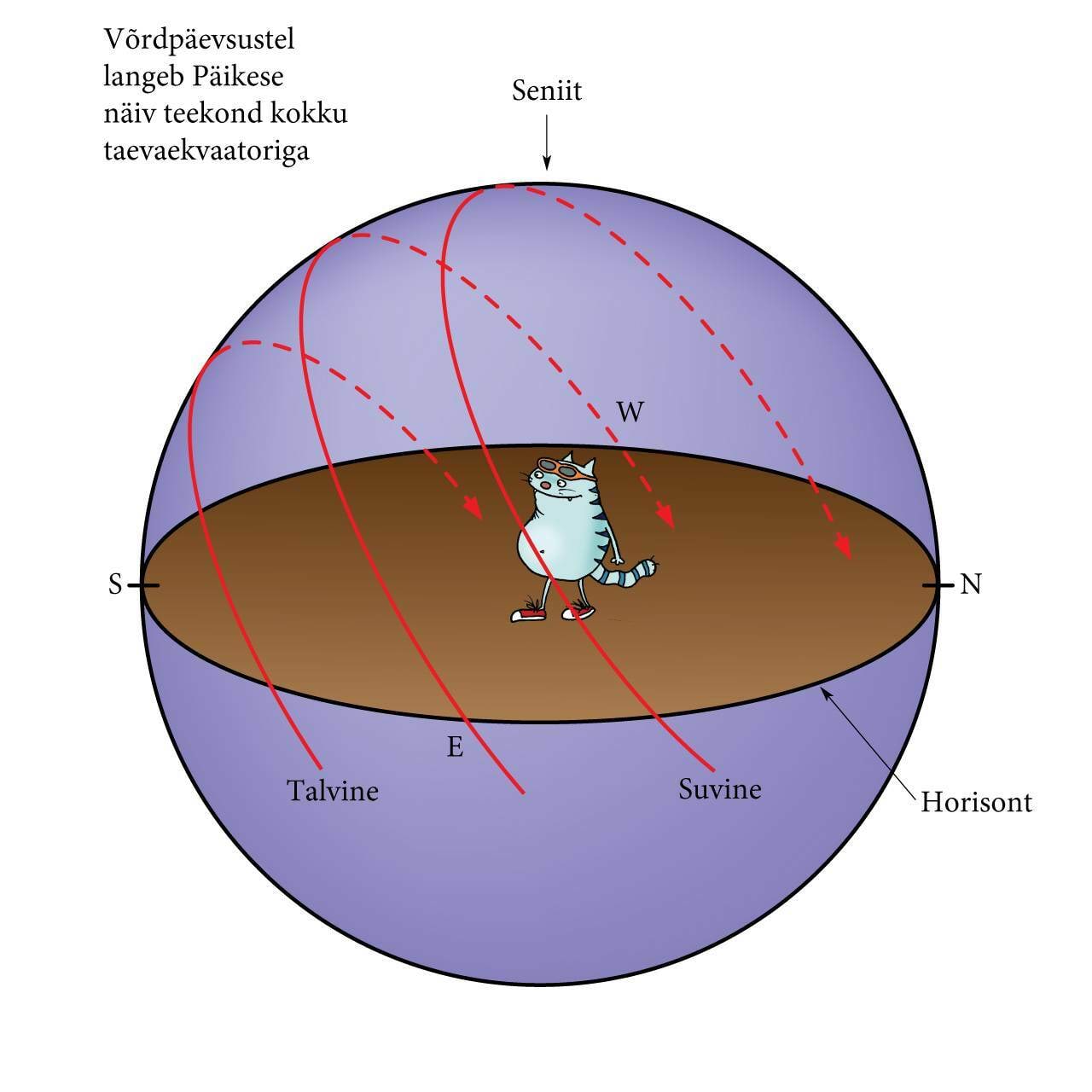 Päikese päevane teekond, joonis