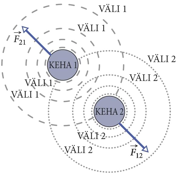 Kehade vastastikmõju mehhanist, joonis