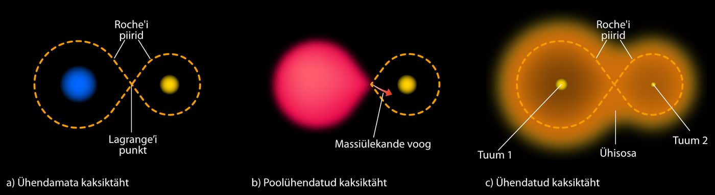 Kaksiktähtede tüübid vastavalt nende Roche piiri täituvusele