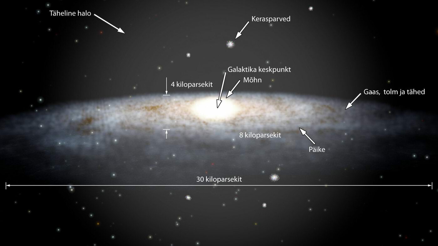 Linnutee skemaatiline ehitus