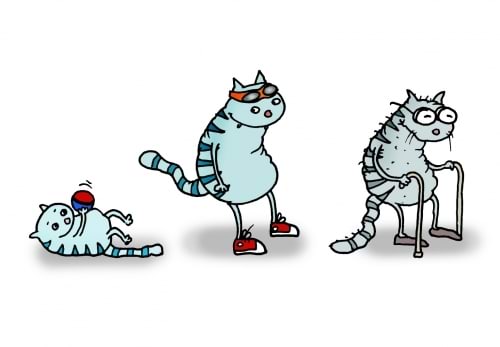 Kass vananeb, aeg on skalaarne