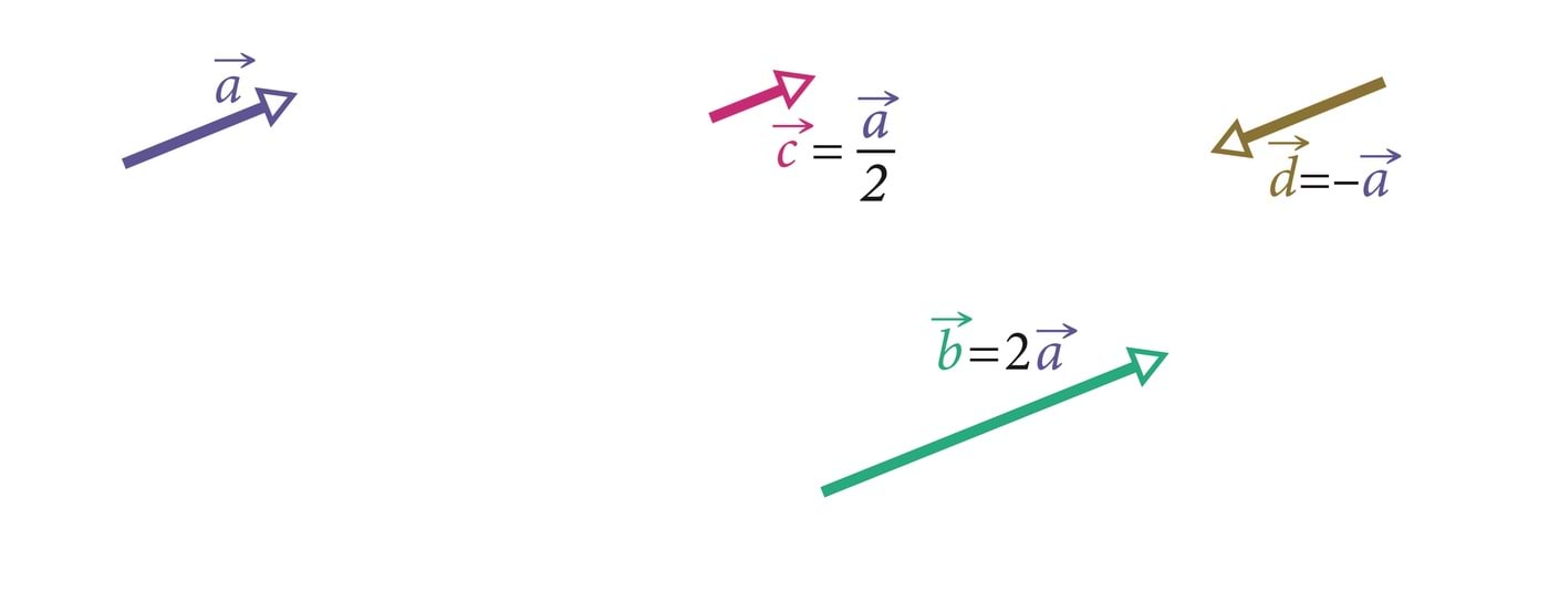 Vektorite omadused: korrutamine skalaariga