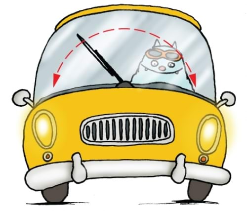 Kass autos, kojamees võngub