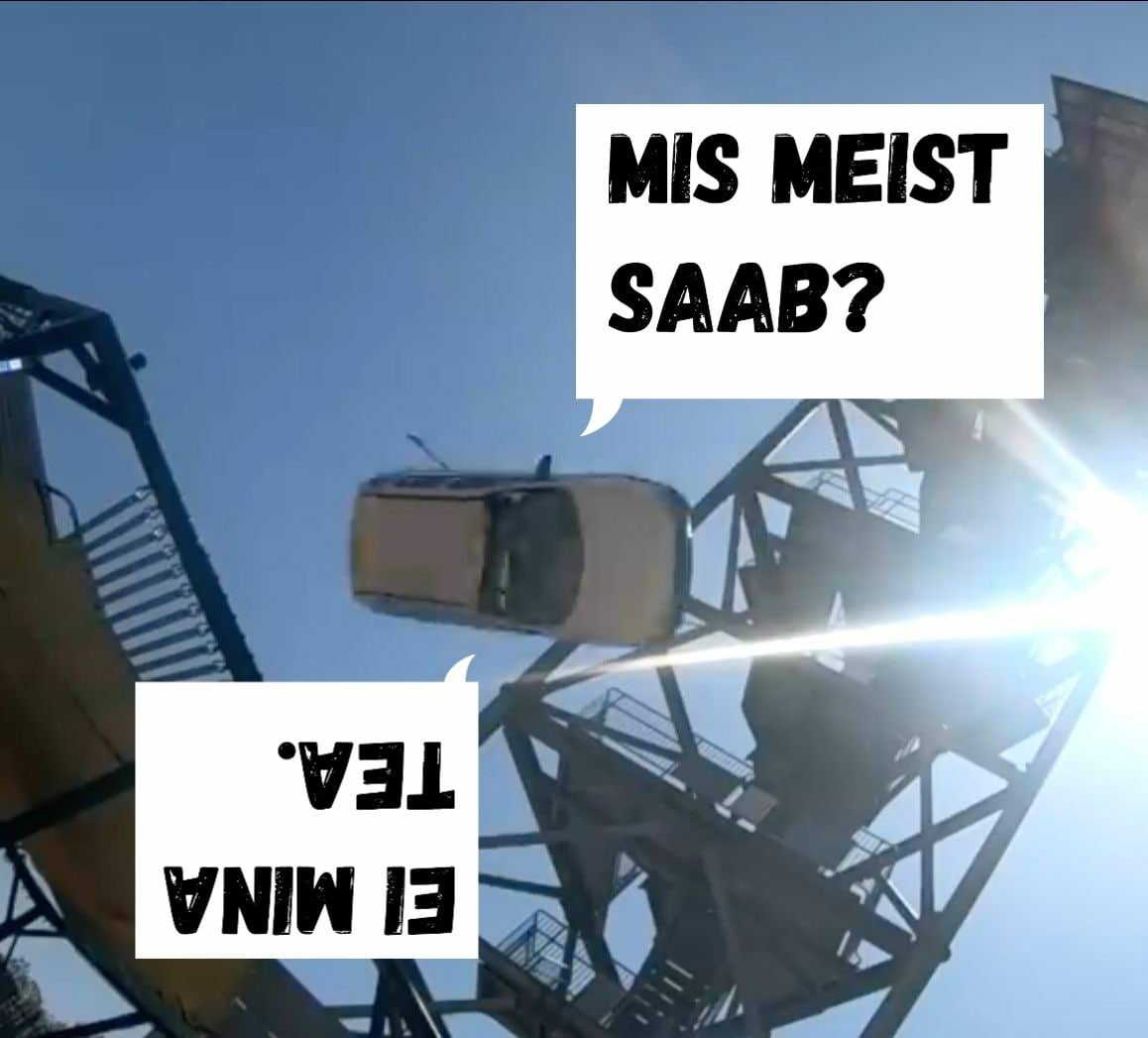 Mesilane 5/6 kaanepilt